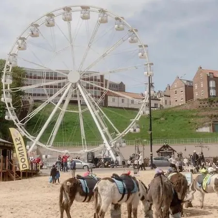 The Hideaway Luxury 5* 2 Bed Garden Lejlighed Scarborough